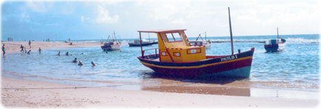 Bahia barcos