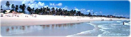 Siribinha