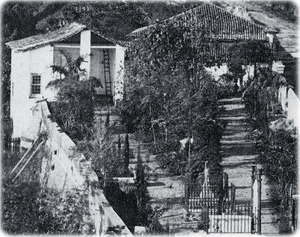 Bahia Mulock