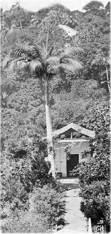 Bahia Riedel
