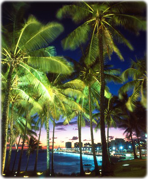 Coqueiros Praia